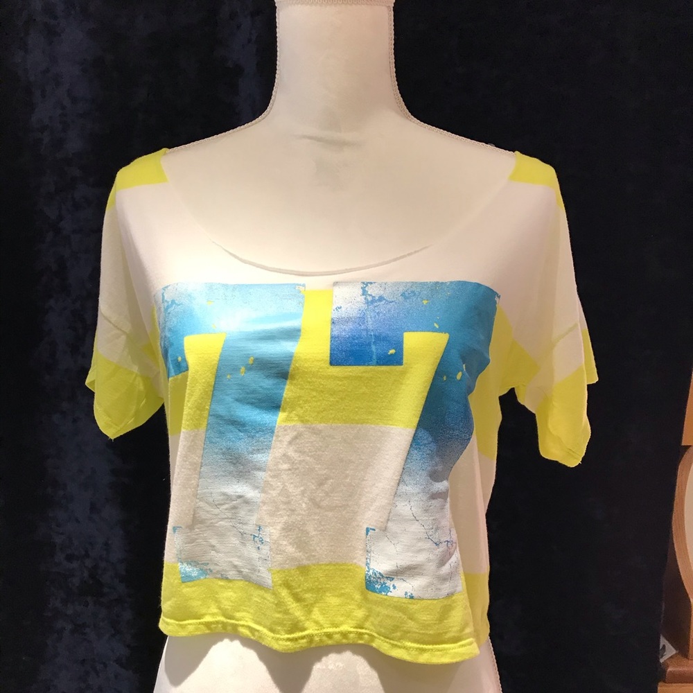 American Eagle Crop Top